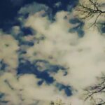 Zoie Palmer Instagram - Do you see him?