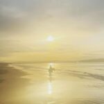 Zoie Palmer Instagram - Thank-you to @crindlestables for a most incredible day on a sunset horseback riding trek along the beach 🇮🇪 And a big thank-you to “Captain” the horse, who took very good care of this novice rider. Donegal, Ireland