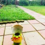 Zoie Palmer Instagram - This is in my mums front garden and I can’t decide if it’s creepy or cute. Waterside, Derry
