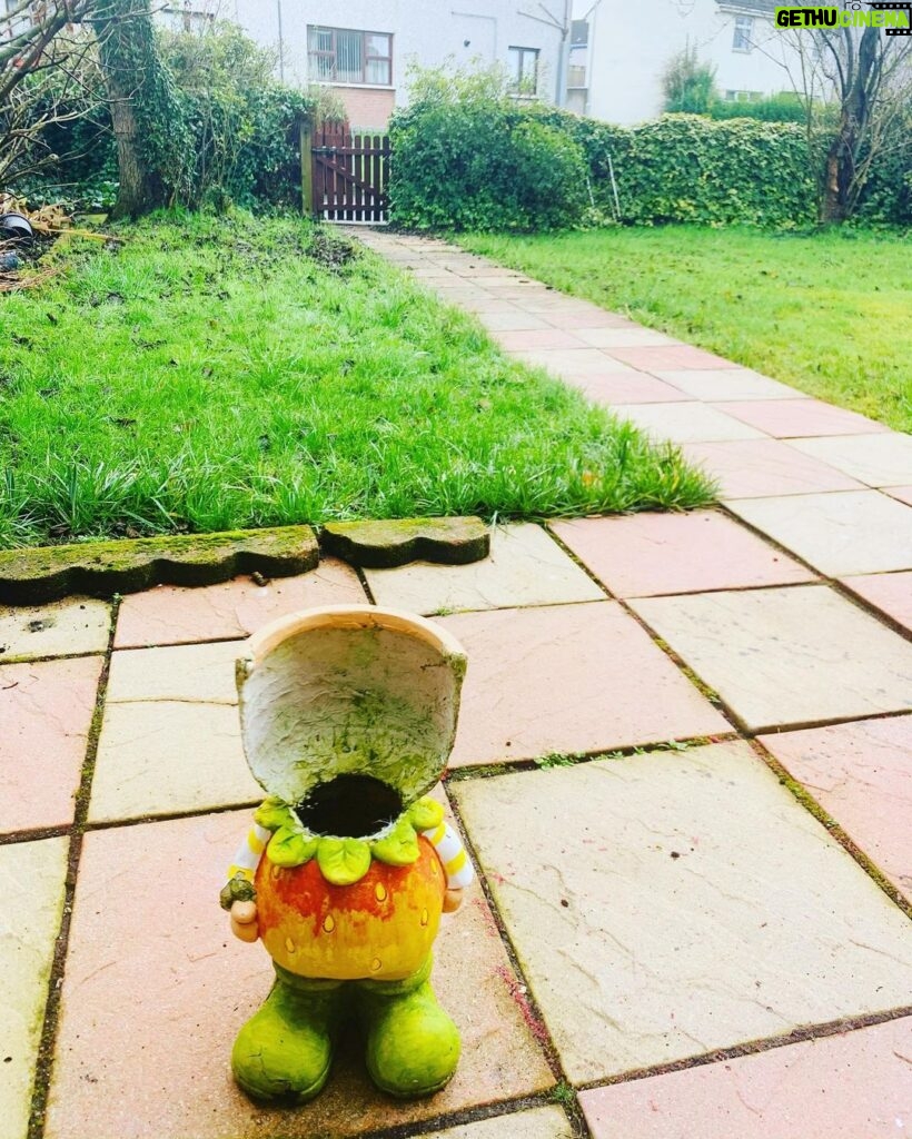 Zoie Palmer Instagram - This is in my mums front garden and I can’t decide if it’s creepy or cute. Waterside, Derry