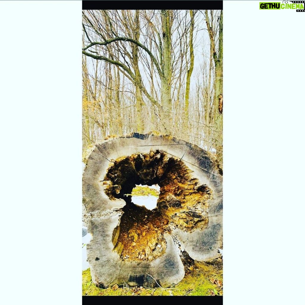 Zoie Palmer Instagram - Natures Narnia. I’m goin in...