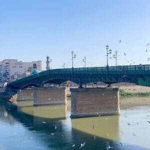 ali ajeena Instagram - This is called the Martyrs Bridge. Hundreds of Seagull birds fly around the bridge throughout the year. Baghdadis believe that the birds are the martyrs souls flying around their bridge —