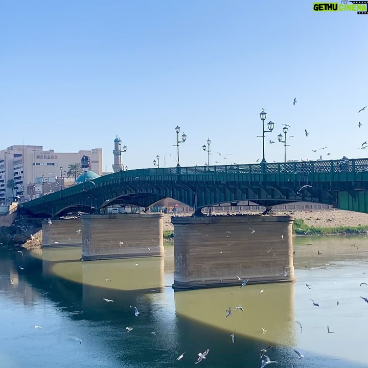 ali ajeena Instagram - This is called the Martyrs Bridge. Hundreds of Seagull birds fly around the bridge throughout the year. Baghdadis believe that the birds are the martyrs souls flying around their bridge — Baghdad, Iraq