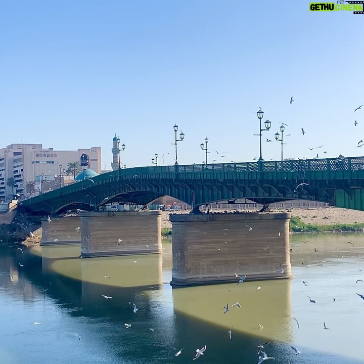 ali ajeena - 8.3K Likes - This is called the Martyrs Bridge. Hundreds of Seagull birds fly around the bridge throughout the year. Baghdadis believe that the birds are the martyrs souls flying around their bridge —