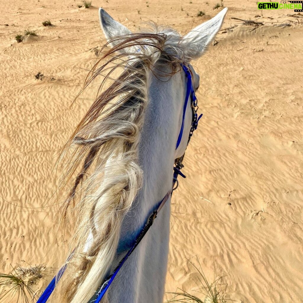 ali ajeena Instagram - Wandering around the desert Al Ain, UAE