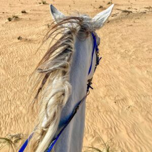 ali ajeena Instagram - Wandering around the desert