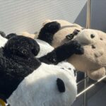 asmi Instagram - お風呂入ったね🛁☀️🌕🌏