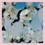 mabanua Instagram - 今日は娘の入学式でした。この記念すべき日にこの曲、歌詞と共に涙しております。色々とお手伝いさせて頂きました。皆様よろしくお願い致します。 #星野源喜劇 Repost from @iamgenhoshino • 最新曲『喜劇』リリースしました！ やった！ 歌詞はこちらです。 喜劇と悲劇は表裏一体で、なかなか引き剥がすことができないものだと思っています。それでも、悲劇を連れながら喜劇の物語を生み、そこにフォーカスしていく人が僕は好きです。 ご感想は #星野源喜劇 までどうぞ。 "はすはす"しながら待ってます。 各DL &ストリーミングサイトへのリンクはプロフィールから。 #SPY_FAMILY #スパイファミリー #星野源 #はすはす #同じく7巻182p My newest song, "Comedy," is out now! Link in bio. I believe that comedies and tragedies are two sides of the same coin, and there's no way to separate them. Even so, I’m quite fond of the people who create the stories we call comedies and compel themselves to focus on telling those stories. Share your thoughts via #GenHoshino #Comedy or #星野源喜劇. I'll be waiting for your comments! (heavy breathing) "Huff, huff" 最新歌曲『喜劇』公開了! 連結在簡介裏。 “喜劇”和”悲劇”是兩面一體無法把它拆開的。我就是喜歡儘管如此還是生出喜劇故事只能專注於此的人。你們對這首歌的感想、我一邊”哈嘶哈嘶”等你們哦。 최신곡 『희극』 음원공개했습니다! 링크는 프로필에서 확인해주세요. "희극"과 "비극"은 표리 일체로 벗겨낼 수 없는 것이라고 생각합니다. 그래도, 희극이라는 이야기를 만들고 거기에 포커스할 수밖에 없는 사람을 저는 좋아합니다. 여러분의 이 곡에 대한 감상, "하악 하악"하면서 기다리겠습니다.
