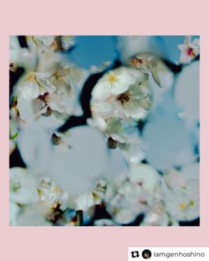 mabanua Instagram - 今日は娘の入学式でした。この記念すべき日にこの曲、歌詞と共に涙しております。色々とお手伝いさせて頂きました。皆様よろしくお願い致します。
#星野源喜劇

Repost from @iamgenhoshino
•
最新曲『喜劇』リリースしました！ やった！ 歌詞はこちらです。
喜劇と悲劇は表裏一体で、なかなか引き剥がすことができないものだと思っています。それでも、悲劇を連れながら喜劇の物語を生み、そこにフォーカスしていく人が僕は好きです。

ご感想は #星野源喜劇 までどうぞ。
"はすはす"しながら待ってます。
各DL &ストリーミングサイトへのリンクはプロフィールから。

#SPY_FAMILY #スパイファミリー #星野源 #はすはす #同じく7巻182p 

My newest song, "Comedy," is out now! Link in bio. I believe that comedies and tragedies are two sides of the same coin, and there's no way to separate them. Even so, I’m quite fond of the people who create the stories we call comedies and compel themselves to focus on telling those stories. Share your thoughts via #GenHoshino #Comedy or #星野源喜劇. I'll be waiting for your comments! (heavy breathing) "Huff, huff"

最新歌曲『喜劇』公開了!
連結在簡介裏。
“喜劇”和”悲劇”是兩面一體無法把它拆開的。我就是喜歡儘管如此還是生出喜劇故事只能專注於此的人。你們對這首歌的感想、我一邊”哈嘶哈嘶”等你們哦。

최신곡 『희극』 음원공개했습니다! 링크는 프로필에서 확인해주세요. "희극"과 "비극"은 표리 일체로 벗겨낼 수 없는 것이라고 생각합니다. 그래도, 희극이라는 이야기를 만들고 거기에 포커스할 수밖에 없는 사람을 저는 좋아합니다.
여러분의 이 곡에 대한 감상, "하악 하악"하면서 기다리겠습니다.