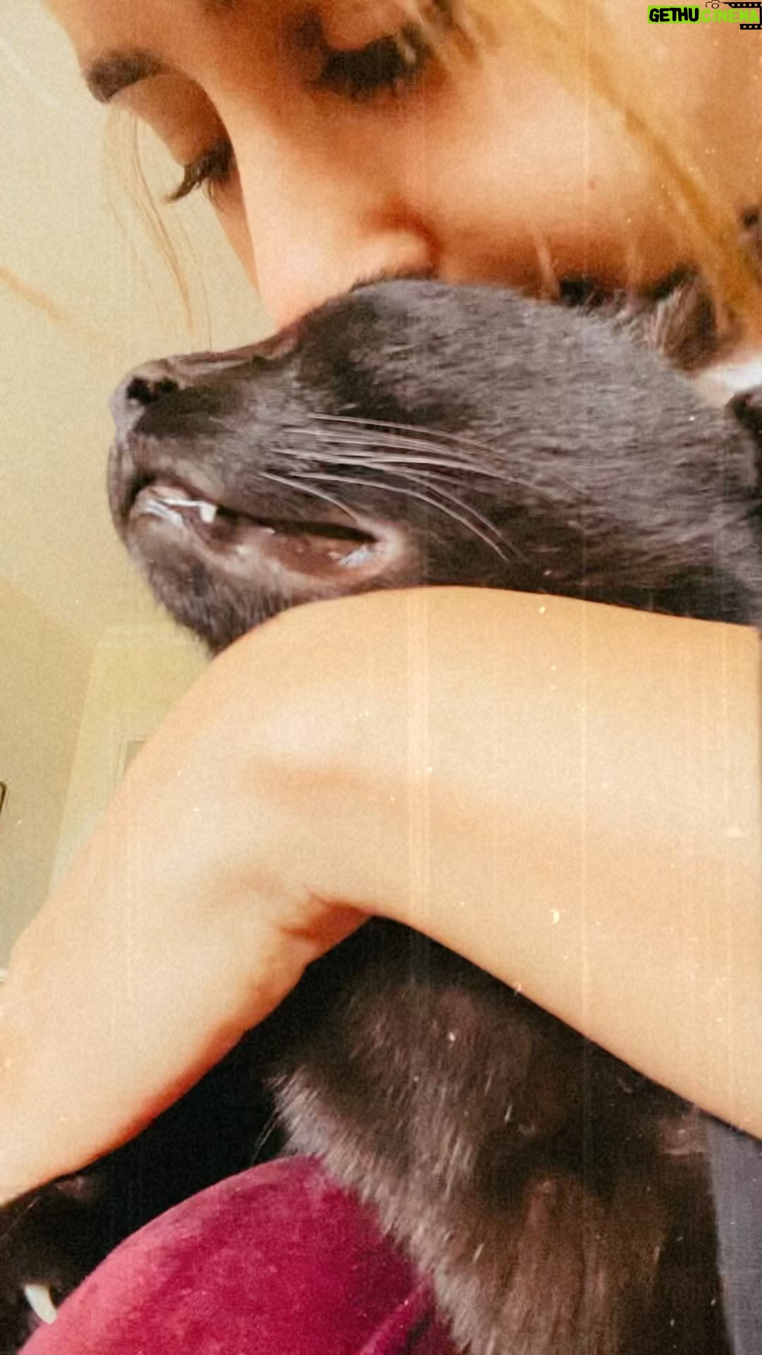 Aïcha Ben Ahmed Instagram - Love is everywhere Uniting everything ❤️ صباح الخير 💋 #love #lovecats #catlover #blackcat #morning #morningvibes #aichabenahmed #actress #عائشة_بن_احمد #عائشة_بن_أحمد #النزوة