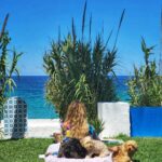 Aïcha Ben Ahmed Instagram - Healing through nature 🍀🐕🏞 #nature #naturelovers #tunisia #petlovers #aichabenahmed #sea #bluesky #عائشة_بن_احمد Plage Ras Jbal