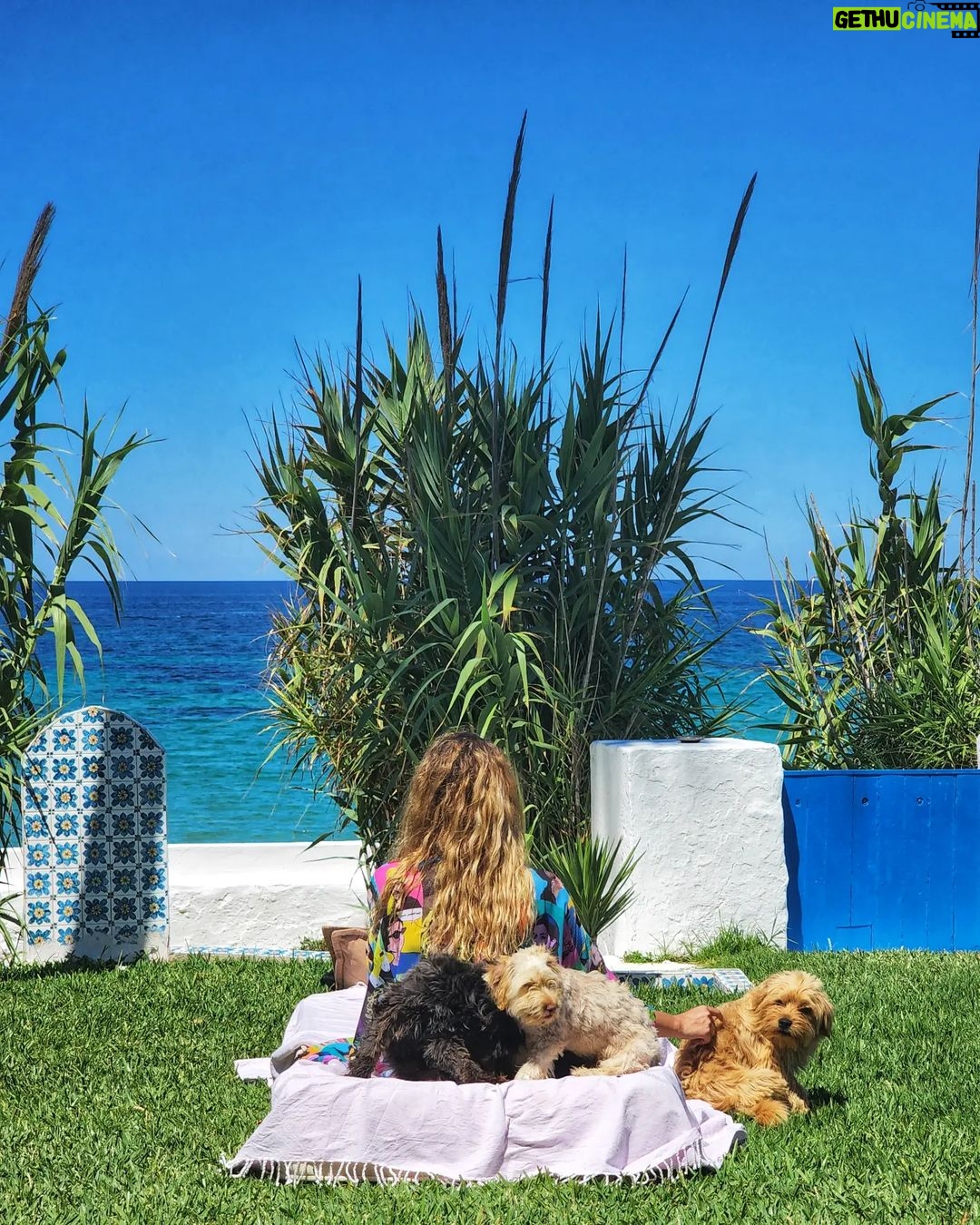 Aïcha Ben Ahmed Instagram - Healing through nature 🍀🐕🏞 #nature #naturelovers #tunisia #petlovers #aichabenahmed #sea #bluesky #عائشة_بن_احمد Plage Ras Jbal