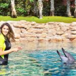 Aïcha Ben Ahmed Instagram - Yesterday was by far the most beautiful day in my life ❤️❤️❤️ @visit.dubai #dubai #visitdubai #dolphins #animallovers #nature #animalphotography #aichabenahmed #actress #actresslife Dubai - دبى