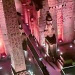 Aïcha Ben Ahmed Instagram - What a wonderful moment 🤩 #sphinxavenue #luxor #الاقصر #طريق_الكباش #مصر