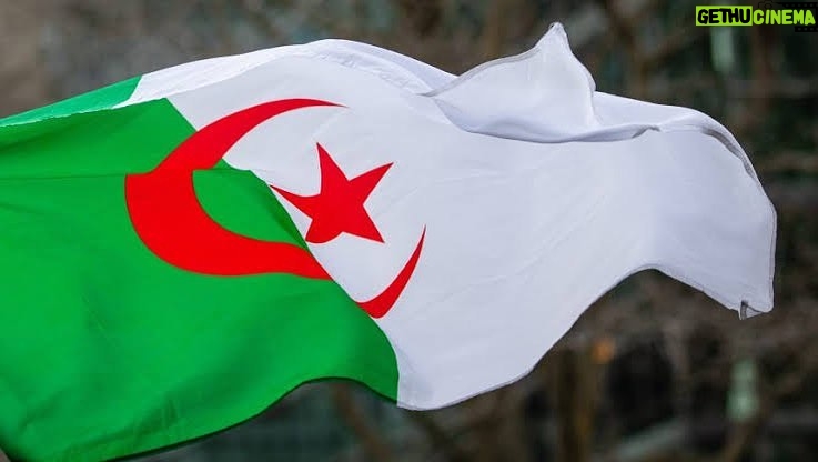 Aïcha Ben Ahmed Instagram - كل المواساة لشعب الجزائر الشقيقة الله يرحم الشهداء الأبطال احزانكم احزاننا أيها الاشقاء Vos peines sont les notres #الجزائر #algerie #algeria