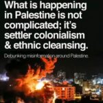 Aïcha Ben Ahmed Instagram – #freepalestine 
#palestinianlivesmatter