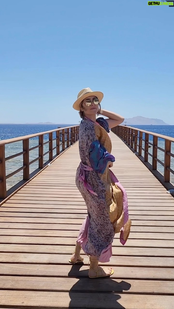 Aïcha Ben Ahmed Instagram - A wonderful stay in a magic place …Thank you @fssharmelsheikh @sinaiblues @tarekazizphotography #sharmelsheikh #aichabenahmed #actress #sealife #nature #naturelovers #عائشة_بن_احمد #عائشة_بن_أحمد Four Seasons Resort Sharm El Sheikh, Egypt