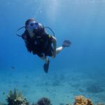 Aïcha Ben Ahmed Instagram - The most magical experience of my life ❤️❤️❤️ @sinaiblues @fssharmelsheikh 📷 @reefvideophoto #diving #sharmelsheikh #naturelovers #naturephotography #bluesea #experiences Sinai Blues, Sharm El Sheikh - Luxury Diving and Water Sports