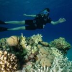 Aïcha Ben Ahmed Instagram - The most magical experience of my life ❤️❤️❤️ @sinaiblues @fssharmelsheikh 📷 @reefvideophoto #diving #sharmelsheikh #naturelovers #naturephotography #bluesea #experiences Sinai Blues, Sharm El Sheikh - Luxury Diving and Water Sports