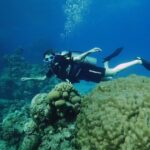 Aïcha Ben Ahmed Instagram - The most magical experience of my life ❤️❤️❤️ @sinaiblues @fssharmelsheikh 📷 @reefvideophoto #diving #sharmelsheikh #naturelovers #naturephotography #bluesea #experiences Sinai Blues, Sharm El Sheikh - Luxury Diving and Water Sports