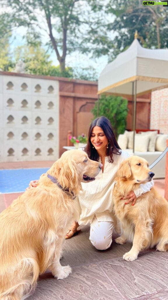 Aahana Kumra Instagram - Back to a place I love so much! 💕🌸🌞❄️😍❤️ And it became even more special thanks to Gabbar, Laila and Sultan! 🐾🐶🐾 @narendra.bhawan.bikaner 🌸 #happynewyear . . . . #aahanakumra #bikaner #rajasthan #love #winters #incredibleindia #india #newyear #happynewyear2024 Narendra Bhawan Bikaner