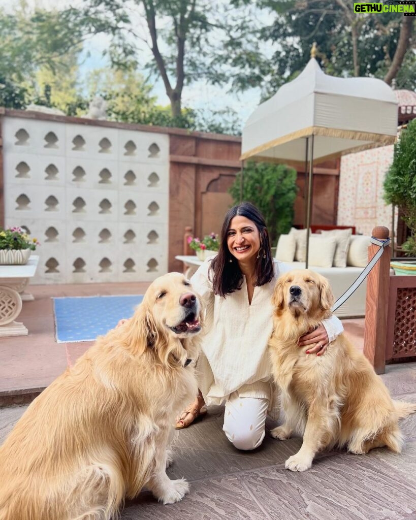 Aahana Kumra Instagram - I dream of palaces ☀️🌼❣️🌸👯‍♂️🥂❄️🏰 Oh! and say hello to Sultan, Gabbar and Laila 🐾🐶 @narendra.bhawan.bikaner #mondaymood #mondayblues . . . . #mondaymandate #monday #bikaner #rajasthan #incredibleindia #aahanakumra #dogsofinstagram #dogstagram #rampuriahaveli Narender Bhavan, Bikaner