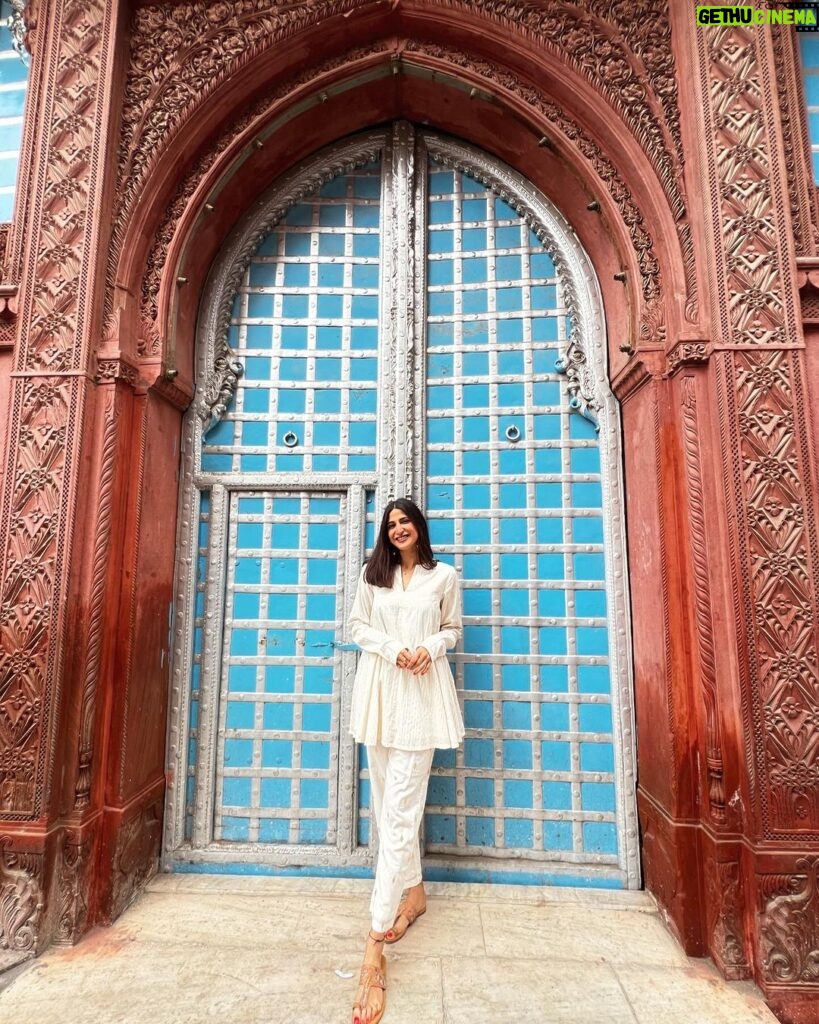 Aahana Kumra Instagram - I dream of palaces ☀️🌼❣️🌸👯‍♂️🥂❄️🏰 Oh! and say hello to Sultan, Gabbar and Laila 🐾🐶 @narendra.bhawan.bikaner #mondaymood #mondayblues . . . . #mondaymandate #monday #bikaner #rajasthan #incredibleindia #aahanakumra #dogsofinstagram #dogstagram #rampuriahaveli Narender Bhavan, Bikaner