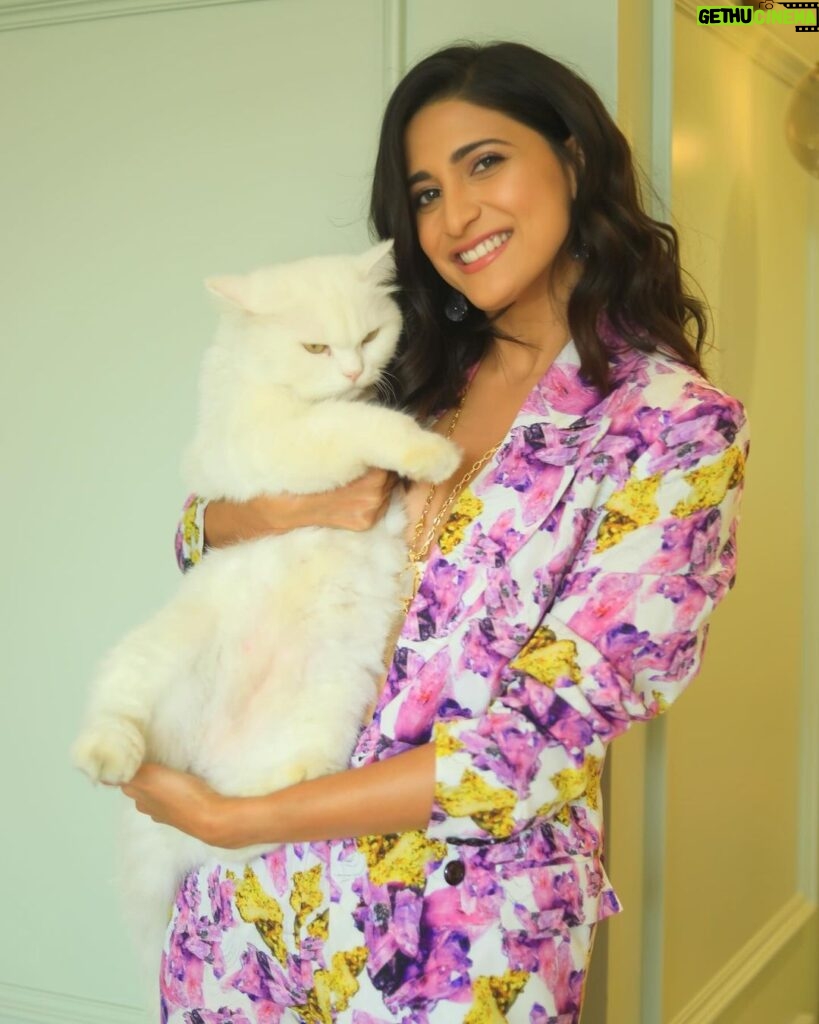 Aahana Kumra Instagram - Two silly cats 💁‍♀️🙄😺🐾💕🌸😹 #mushuetmoi #sundaze . . . . #sunday #funday #catsofinstagram #catstagram #catsofig #catscatscats #cats #homesweethome Mumbai - मुंबई