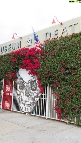 Aakriti Rana Instagram - Man I’ve never spent so much time in a museum ever. I love watching serial killers documentaries and movies and there was everything about that here! The museum of death is definitely not for the faint hearted. Tag someone who would love this. ☠️ #aakritirana #creepy #losangeles #travelblogger #indiantravelblogger #horrormovies #serialkiller #scary #creepy #horrorstories #reelsinstagram #museumofdeath