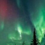 Aakriti Rana Instagram – Had to spend 17k extra, dad se daant bhi khaai but man the view made me forget everything! 

We just had a week in Alaska and I REALLY wanted my dad to experience the northern lights. The cloud coverage was high almost every night except this one night. We were in a rush to take the car out and go to an open patch from where we can view the lights and the car got stuck right outside our Airbnb. I thought we missed this one chance also to see the lights but when I looked up, there they were! The lights kept getting stronger and it was absolutely beautiful. After so many sleepless nights, we finally saw them ❤️

The funniest part was that everyone was busy trying to take out the car and dig the snow out and I kept pulling everyone one by one to watch the lights and take their pictures 🤣
I knew that they’ll thank me later! It’s a once in a lifetime thing for so many people. 

P.s FAIRBANKS in Alaska is one of the BEST places to see the northern lights in the world. The KP index on the Aurora app for this place is always high. If the cloud coverage is low, you would 100% see the lights! 

Have you ever seen the northern lights? 

#aakritirana #familytrip #northernlights #aurora #auroraborealis #fairbanks #alaska #northernlightsalaska #travelblogger #dreamcometrue #usaroadtrip Fairbanks, Alaska