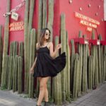 Aakriti Rana Instagram – Hello Mexico City! 
From the little colourful town of Guanajuato to the metropolitan Mexico City!

Getting here from Guanajuato wasn’t easy. The flights and cabs were too expensive, renting a car and dropping it to another city was at an extra cost and the only other option was to take all our luggage and get to a bus station. Bdw I read online that buses also aren’t safe. Gangs stop the buses and rob you. With all our luggage, we decided to pay extra and take a cab. It literally broke down in the middle of nowhere and then it started to get dark. He refused to get it fixed and said we have to pay the money. Mexico isn’t safe during night as such spots. There are numerous cases of crimes and it started giving me anxiety. There was no network (translator app didn’t work) and nobody could understand English. I played dumb charades with a bus conductor and got us on a bus which eventually left us in the Mexico City. Lost a lot of money and still trying to retrieve it from the cab guys who abandoned us by using a translator app 🤣

Anyway, Can you guess where we are going next?

[ Aakriti Rana, Travel blogger, Mexico, Mexico City, Indian Travel Blogger, Aditya Rana, Family Trip, Story Time, Scam, Adventure] Mexico City, Mexico