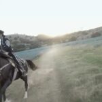 Aarón Díaz Instagram - Que sabes de charros? De la gente mas caballerosa que conozco- @reconexionmexico