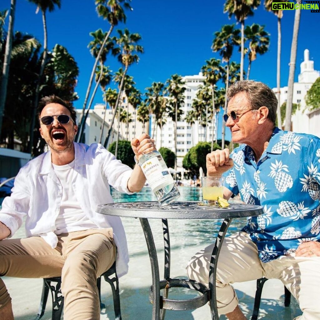 Aaron Paul Instagram - Going live with @bryancranston at 11am pacific today to talk all things @doshombres Mezcal and more. It’s Cinco de Mezcal and we are celebrating. Come join us. 🥃