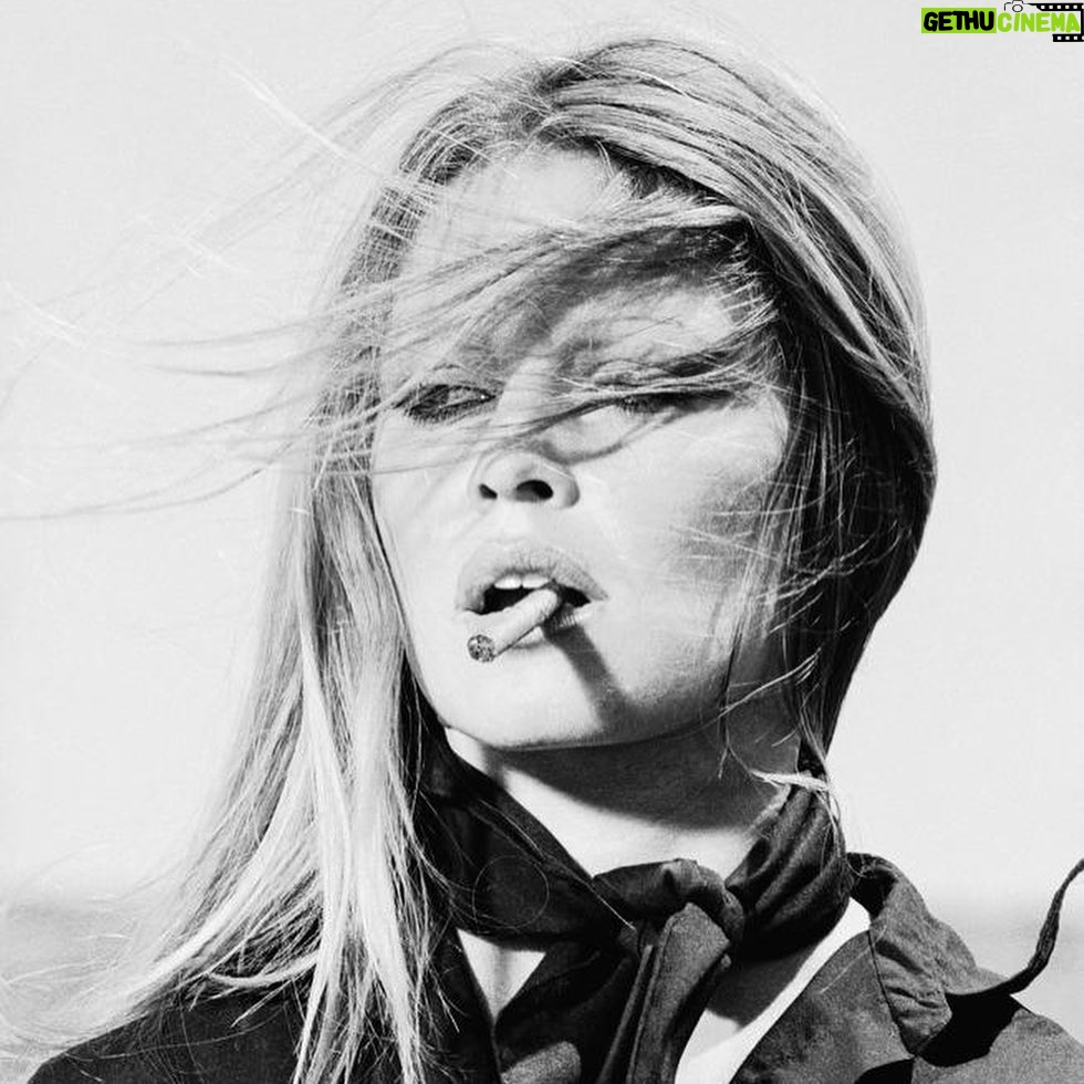 Aaron Paul Instagram - We lost a legend today. Terry O’Neill you made this world more beautiful. My heart hurts today but my god you will live on forever. Thank you for your genius. Rest In Peace my friend. 🖤