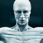 Aaron Paul Instagram - “I feel like I am in a dream Dolores. Can you wake me up from this dream”? Feeling blessed and humbled to finally be able to mention this little secret of mine. Thank you Jonah and Lisa and all of the people over at @westworldhbo for allowing me to come play in your park. See you all very soon. #Westworld