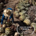 Aaron Paul Instagram - We’re so incredibly proud of this award. Today we’re raising a glass to everyone on the ground at our beautiful palenque. Such an honor. Thank you to everyone for the hard work and commitment to making Dos Hombres the best there is. Salud! 🥃