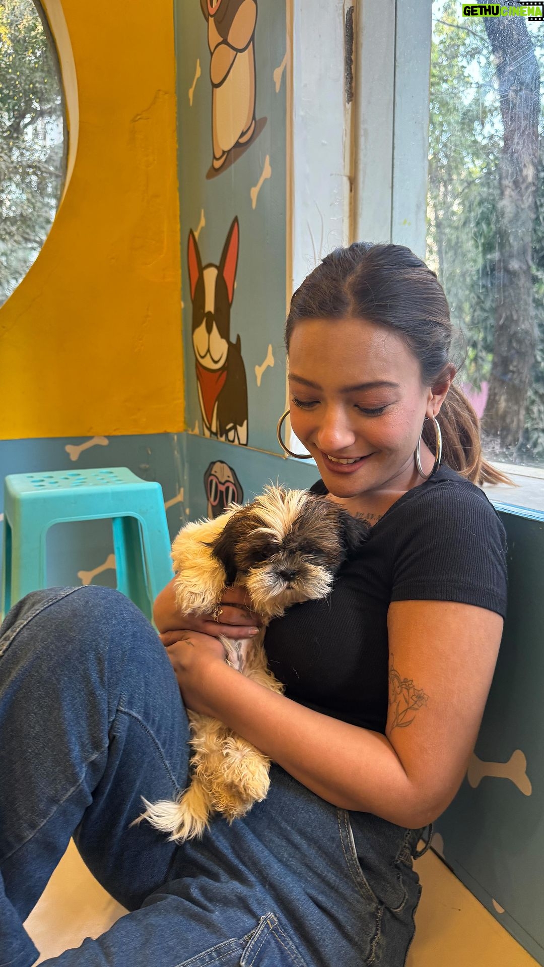 Aashika Bhatia - 308.3K Likes - The road to my heart is filled with paw prints🐾🐶
