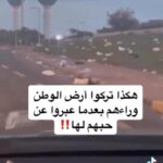 Abdel Aziz El Moslem Instagram - التعليق لكم للثقافة دور ومسؤوليه اتجاه بناء الفرد والمجتمع #وزير_الاعلام #مجلس_الوزراء #اليوم_الوطني_الكويتي #العيد_الوطني_الكويتي #اليوم_الوطني #عبدالعزيز_المسلم