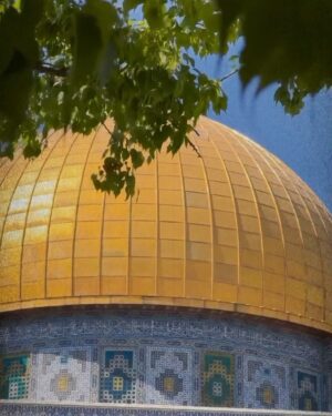 Abed Fahed Instagram - #_أنا_القدس#دراما_سورية  عن #_فلسطين #_انتاج 2010#_ تأليف_إخراج #باسل_الحطيب