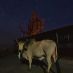 Abha Paul Instagram - Shiva ke saarthi Nandi Ji ke saath, adbhut shanti aur shakti ka anubhav! 🐂✨📸 #shiva #nageshwarjyotirling Nageshwar Jyotirlinga Dwarka