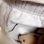 Abha Paul Instagram - Oh my God look who is in my pocket 🐀 😳 #video @yadav.himani 👌🏻 #hamster Hamster Home