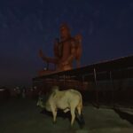 Abha Paul Instagram - Shiva ke saarthi Nandi Ji ke saath, adbhut shanti aur shakti ka anubhav! 🐂✨📸 #shiva #nageshwarjyotirling Nageshwar Jyotirlinga Dwarka