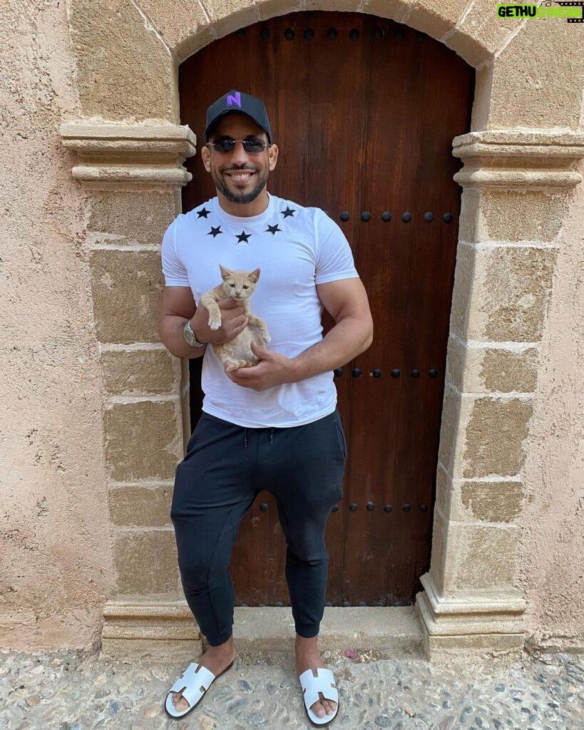 Abu Azaitar Instagram - Cats keep calm, and love Cat Man ✌🏼🐈 Rabat, Morocco