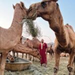 Abu Azaitar Instagram – 🐪
