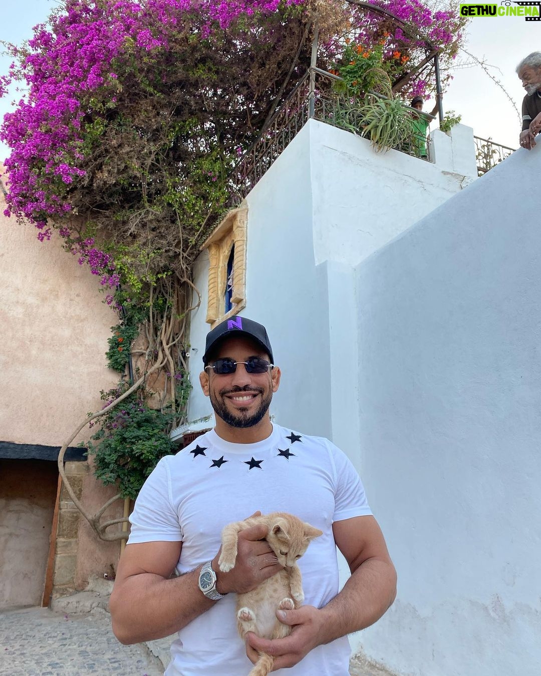Abu Azaitar Instagram - Cats keep calm, and love Cat Man ✌🏼🐈 Rabat, Morocco
