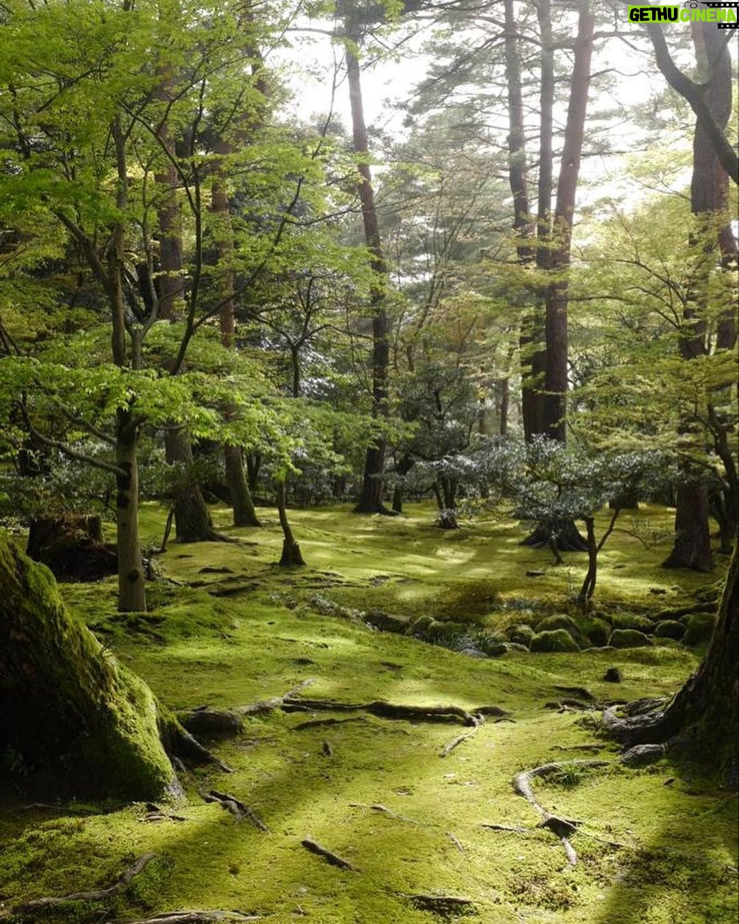 Achille Lauro Instagram - Cresciuto da pregiudicati. Convissuto con gli emarginati. La guerra piace solo a chi non la conosce. Non essere cattivo. Tokyo, Japan