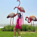 Adaa Khan Instagram - Being 🦩 . . . #potd #travel #travelgram #traveldiaries #goodvibes #adaakhan