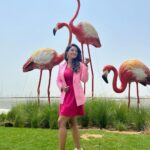 Adaa Khan Instagram - Being 🦩 . . . #potd #travel #travelgram #traveldiaries #goodvibes #adaakhan