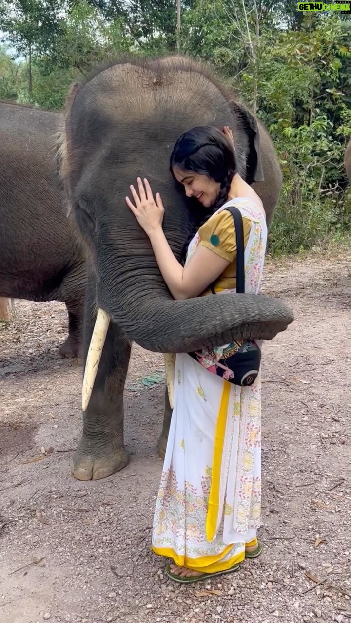 Adah Sharma - 1.4 Million Likes - #TheKeralaStory is out on Zee 5 !! Tag me on stories on your best scene, scenes that made you cry, scenes that changed you ❤️
