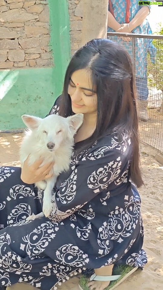 Adah Sharma Instagram - Officially part of the @tolfaindia family ♥This Valentine's day (and for all the days to come ) let's please as human beings , the most evolved species be kind to all species ♥